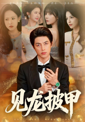 见龙披甲（70集）短剧小说在线看