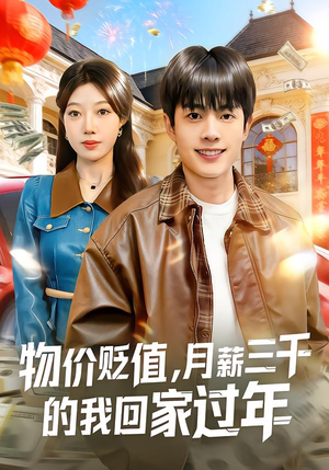 物价贬值，月薪三千的我回家过年（80集）短剧在哪个平台