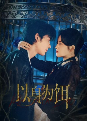 以身为饵（61集）免费在线看全集