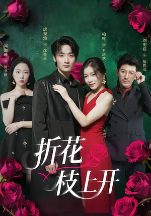 折花枝上开(51集) 折花枝上开(51集)一口气看完
