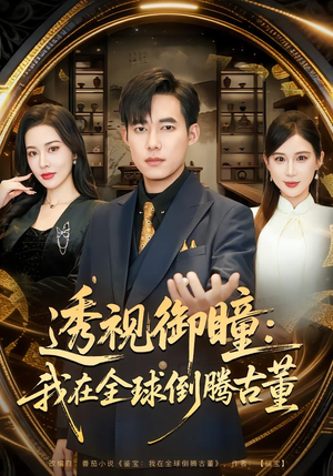 透视御瞳：我在全球倒腾古董（80集）在哪个平台看
