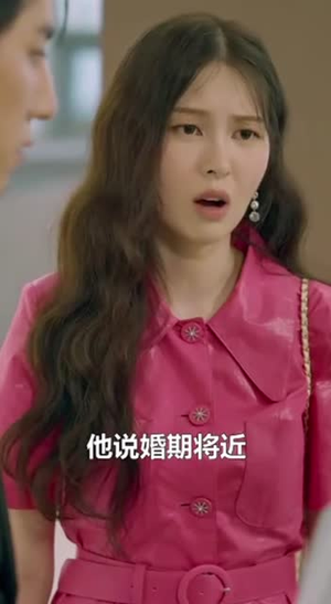 秘密复仇（36集）在哪看