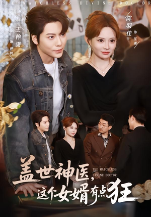 盖世神医，这个女婿有点狂（81集）穿越短剧推荐