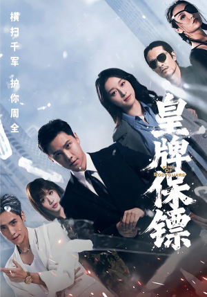 皇牌保镖（66集）全集完整版