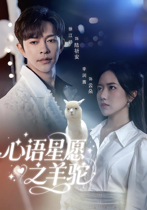 心语星愿之羊驼（60集）免费看短剧全集