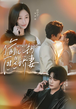 偷心劫匪是娇妻(61集) 偷心劫匪是娇妻(61集)好看的短剧推荐