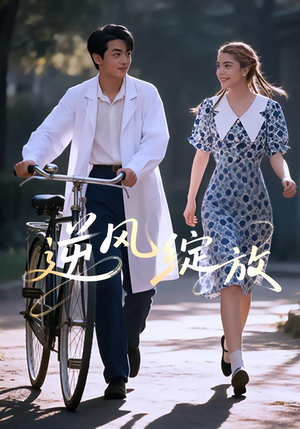 逆风绽放（55集）精彩热门短剧
