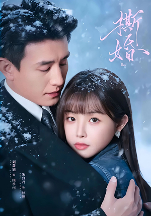 撕婚（23集）短剧排行榜