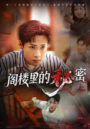 阁楼里的秘密（76集）短剧在线观看