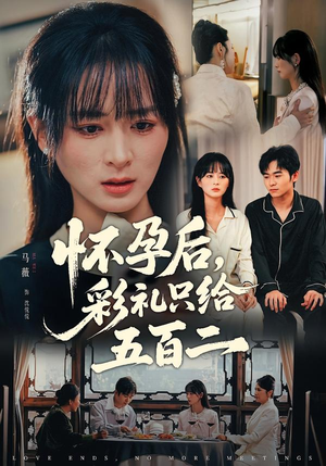 怀孕后，彩礼只给五百二（40集）免费观看完整版