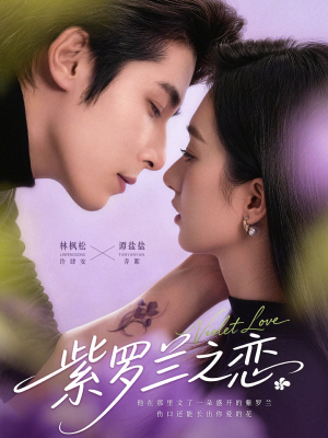 紫罗兰之恋（82集）短剧每日分享