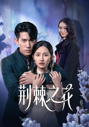 荆棘之花（100集）今日最火短剧