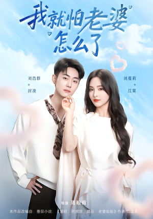 我就怕老婆怎么了(88集) 我就怕老婆怎么了(88集)全集免费看短剧