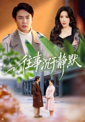 往事沉于静默（70集）热门了短剧