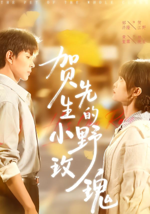贺先生的小野玫瑰（99集）口碑爆棚免费看