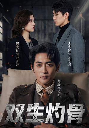 双生灼骨（60集）全季一次看完