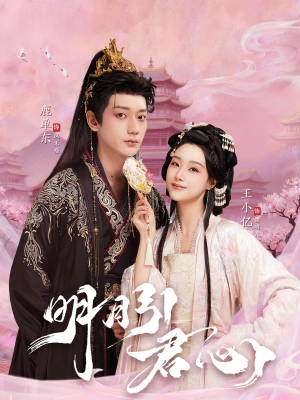 明月引君心（74集）在哪个平台能看