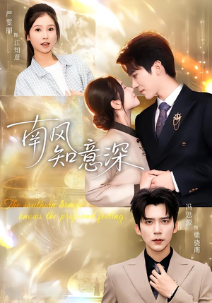 南风知意深（40集）短剧热播推荐