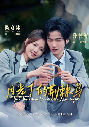 月光下的荆棘鸟（80集）在哪个平台能看