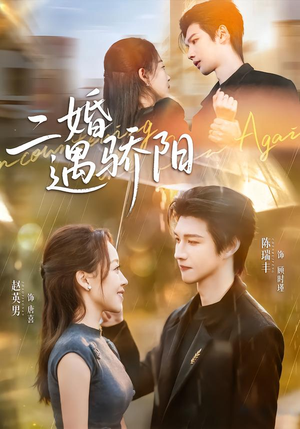 二婚遇骄阳（65集）解说文案