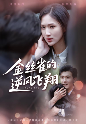 金丝雀的逆风飞翔（80集）短剧精彩片段