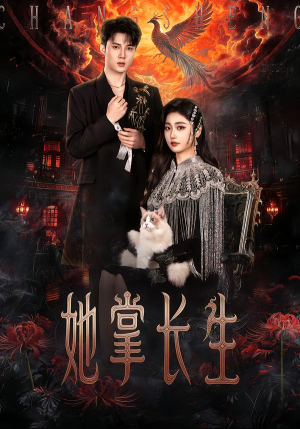 她掌长生（63集）短剧在哪里看