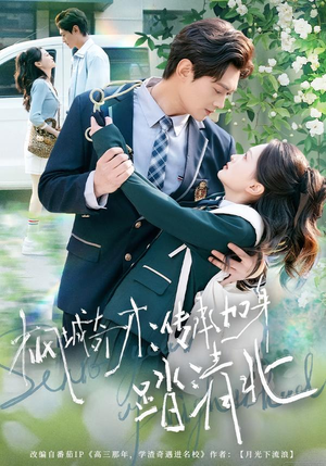 枫城奇才：传承加身踏清北（80集）分享好看短剧