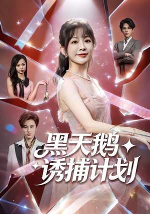 黑天鹅诱捕计划（81集）超火短剧抢先看