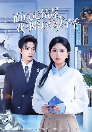 面试走错屋，我闪婚了京圈太子爷（80集）热门短剧大全