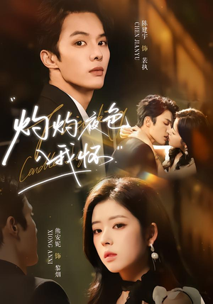 灼灼夜色入我怀（60集）在线看免费版