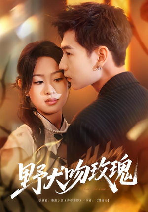 野犬吻玫瑰（70集）短剧太精彩