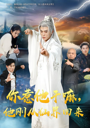 你惹他干嘛，他刚从仙界回来（80集）免费全集短剧