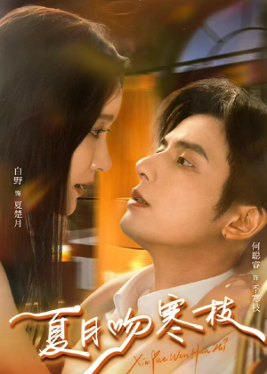 夏月吻寒枝（50集）精彩的网络短剧