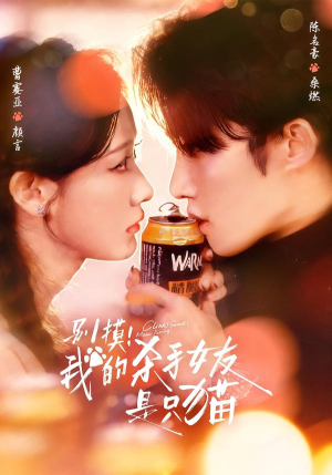 别摸！我的杀手女友是只猫（60集）精彩短剧免费看