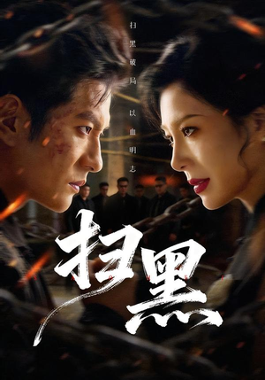 扫黑(70集) 扫黑(70集)好看吗