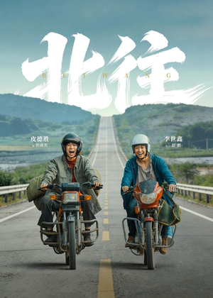 北往（61集）短剧在哪个平台