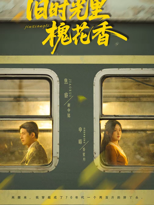 旧时光里槐花香（70集）古装短剧推荐