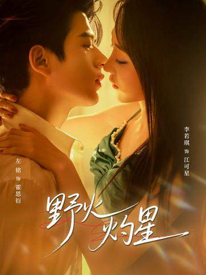 野火灼星（56集）免费看全网短剧