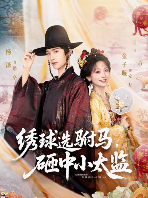 绣球选驸马，砸中小太监（81集）演的怎么样