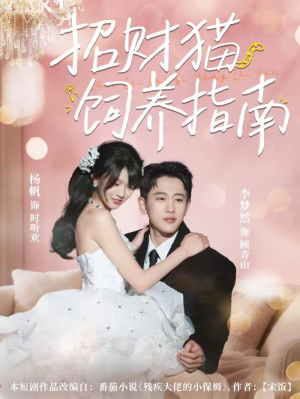 招财猫饲养指南(92集) 招财猫饲养指南(92集)分享好看的短剧