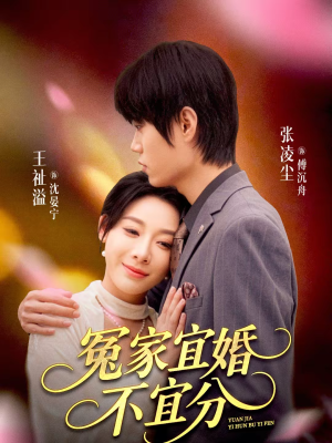 冤家宜婚不宜分(80集) 冤家宜婚不宜分(80集)精彩的网络短剧