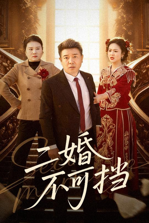 二婚不可挡（36集）短剧有好货推荐