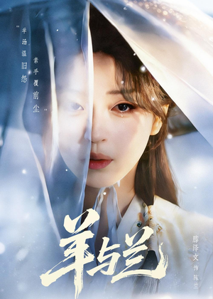 羊与兰（62集）热门火爆短剧