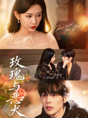 玫瑰与恶犬（80集）怎么看全集