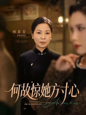 何故惊她方寸心（65集）剧情简介