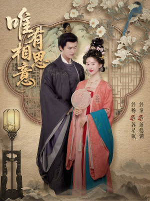 唯有相思意(100集) 唯有相思意(100集)短剧热播推荐