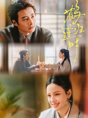 鹤归瑾时（81集）短剧小说在线看