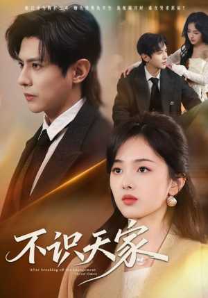 不识天家(69集) 不识天家(69集)演的怎么样