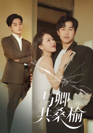 与卿共桑榆（63集）每日短剧分享