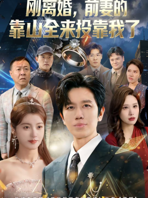 离婚,前妻的靠山全来投靠我了(80集) 离婚,前妻的靠山全来投靠我了(80集)观看软件